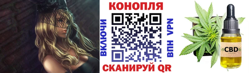 где можно купить   Баксан  Конопля SATIVA & INDICA 